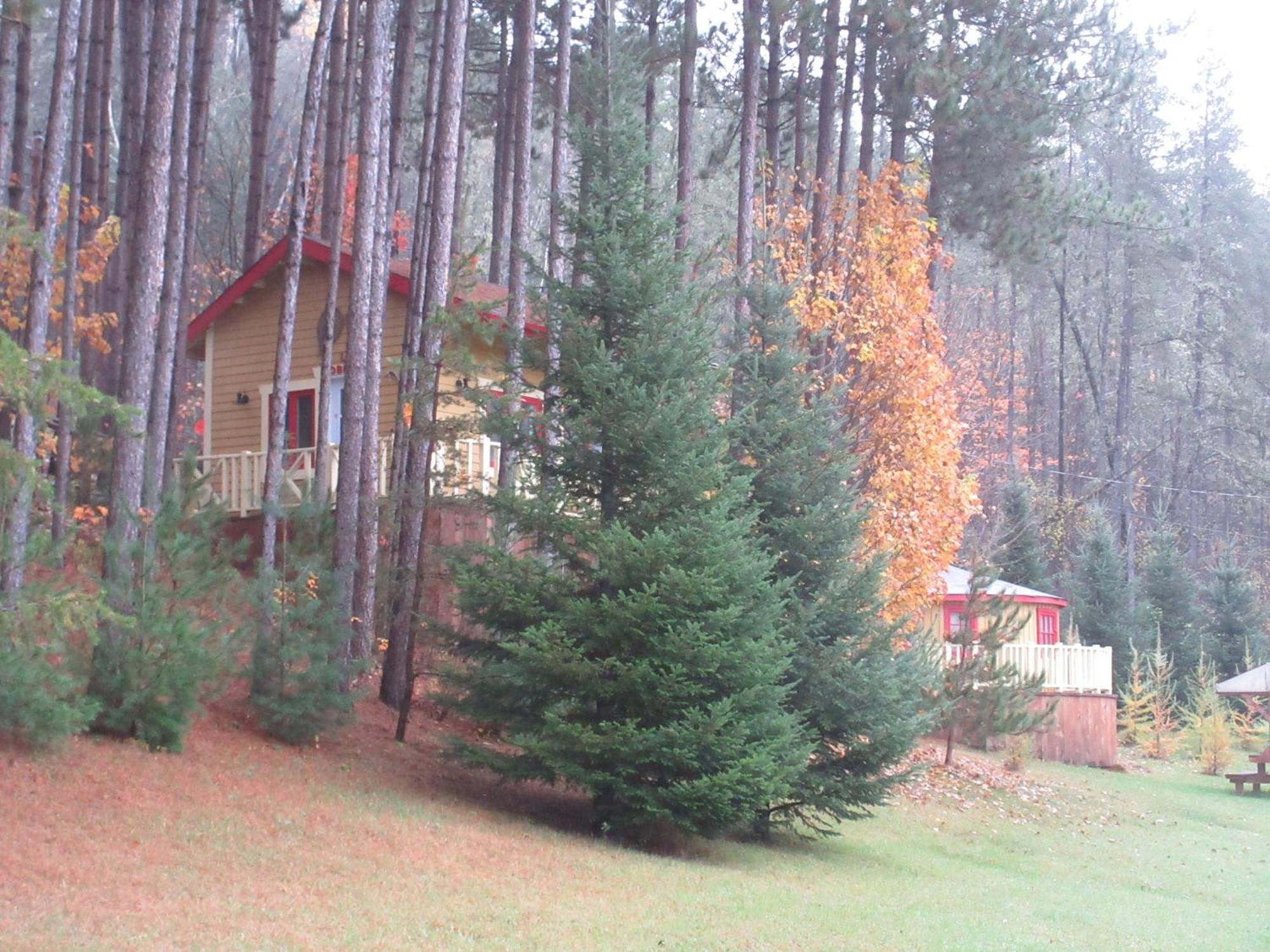 La Maison Sous Les Arbres Saint Roch de Mekinac Exteriör bild