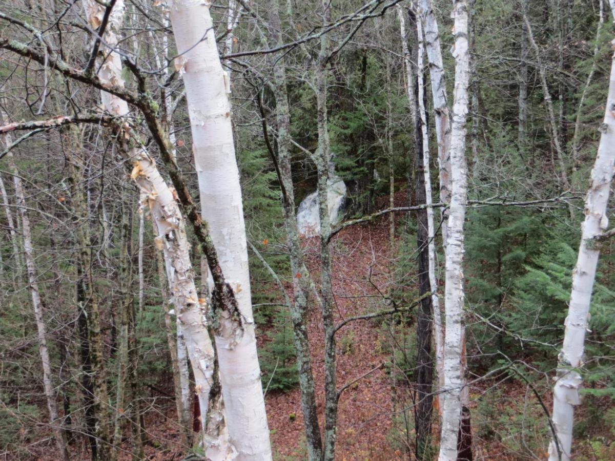 La Maison Sous Les Arbres Saint Roch de Mekinac Exteriör bild